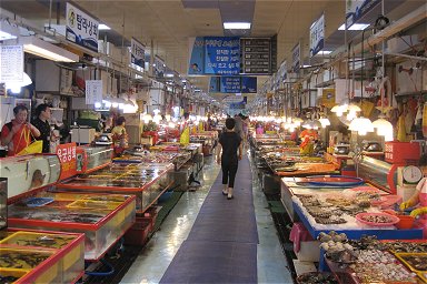 �`���K���`�s��