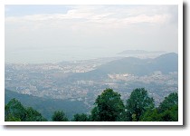 �y�i���q��