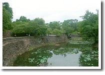 �g�D�h�D�b�N��_