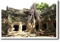 �^�E�v���[��