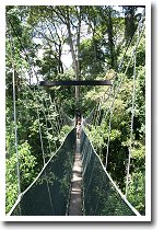 �L���m�s�[�E�H�[�N