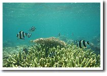 �}�k�J����