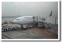 �t�B���s���q��