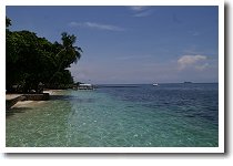 �^���u���r�[�`