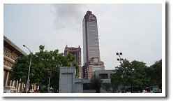 �V���O�z�r��