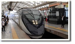 �X�J�C���C�i�[