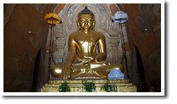 �e�B�[���[�~�����[���@