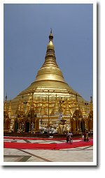 �V���G�_�S���E�p�S�_