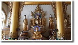 �V���G�_�S���E�p�S�_