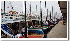 �n�����p