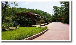 �d�C������