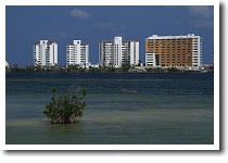 ���O�[��