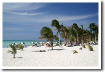 �v�����m���e