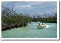 �}���O���[�u