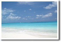 �v�����E�J���R��