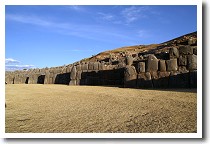 �T�N�T�C���}�����