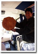 �I���y�T�̃p��