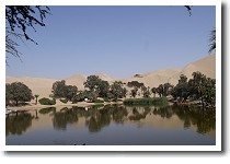 �z�e���̃I�A�V�X