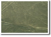 �R���h��