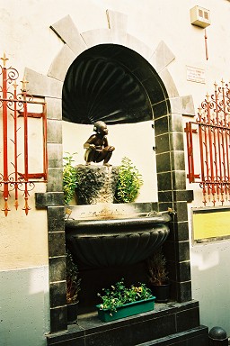 �W�����k�E�s�X