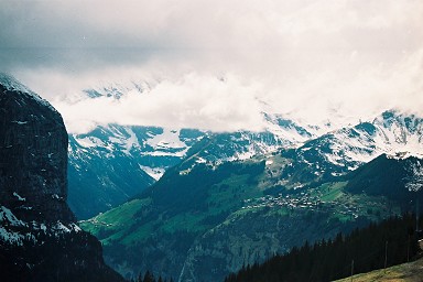 �E�F���Q��