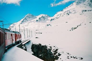 �J���u���i�X��