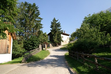 �n�C�W�n�E�X