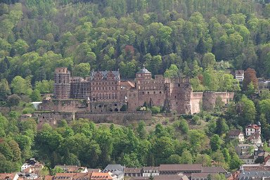 �n�C�f���x���N��