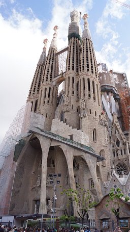 �T�O���_�E�t�@�~���A