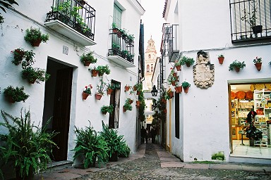 �~�`���Z��