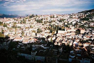 �A���o�C�V���̒�����