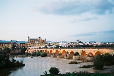 ���X�L�[�^