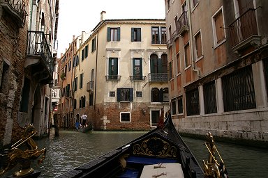 �S���h������̃x�l�`�A�̒�����