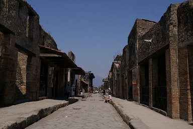 �A�{���_���U�ʂ�