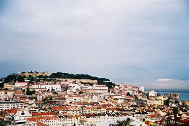 �A���t�@�}�̒�����