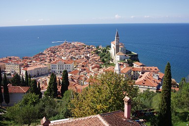 �s�����̒�����