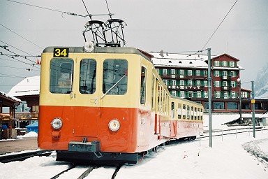 �����O�t���E�S��