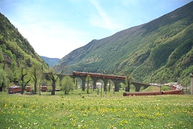 �P�[����