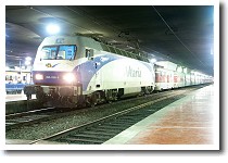 �T���c�w�̃^���S