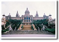 �J�^���[�j�����p��