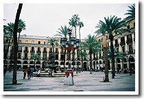 ���C�A�[���L��