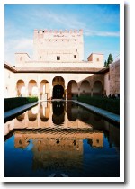 �A�����l�X�̒���