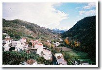 �T�N�������e