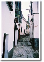 �A���o�C�V��