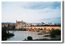 ���X�L�[�^