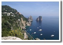 �J���m�[�l�̓W�]��