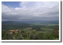 �����^���`�[�m�̋u�̕��i