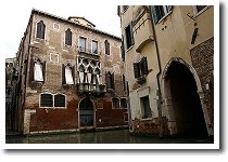 �}���R�|�[���̉�