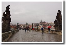 �J������