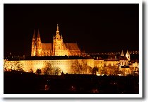 �v���n���i